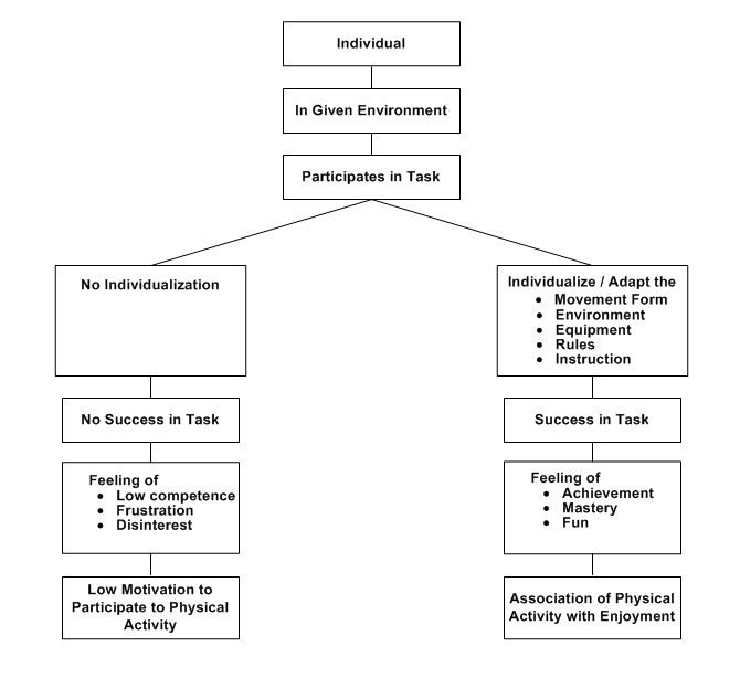 Summary Flowchart of individualization of individuals with disabilities in inclusive environments and motivation levels