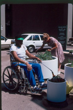 Gardener using a wheelchair watering a group of three large round white plant containers approx. 18, 20 and 24 inches high a long handled watering wand. A standing woman is tending the largest planter.