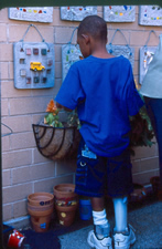 A young boy with a prosthesis on his right leg watering a wire basket of orange flowers connected to a brick wall