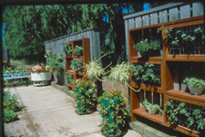 Attach pots, window boxes and shelves within easy reach to sturdy fences and walls increasing the amount of accessible gardening space.