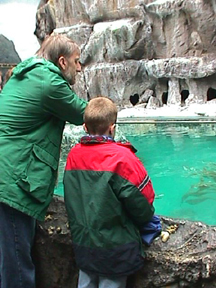 A kid trying to touch fish in a fish pond inside a museum.
