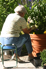 Woman tending tomatoes in a 24 inch high round planter while sitting on a small lightweight portable seat 18 inches wide and high with push handles to aid in standing.