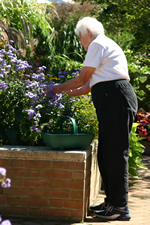 Older woman standing alongside an 18-inch high brick raised bed tending plants without bending at the waist.