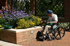 Wheelchair user tending marigolds in a brick raised bed