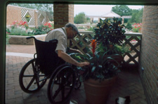 Older adult using wheelchair tending a tall potted flower