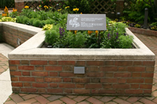 An 18 inch high by 5 foot wide brick raised bed with a 10 inch wide limestone sitting ledge along one side that narrows to 4 inches on the other side for better access to the soil.