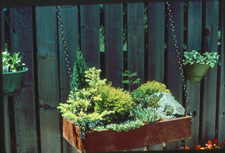 Planter box with green plants attached to wooden fence