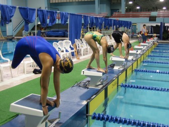 4 individuals prepare to dive into a pool in a swimming event
