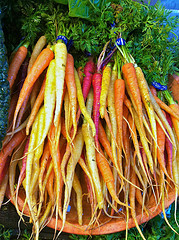 picture of carrots on a plate