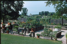 Wide angled view of a demonstration enabling garden.