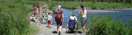 a group including a person in a wheelchair taking a hike