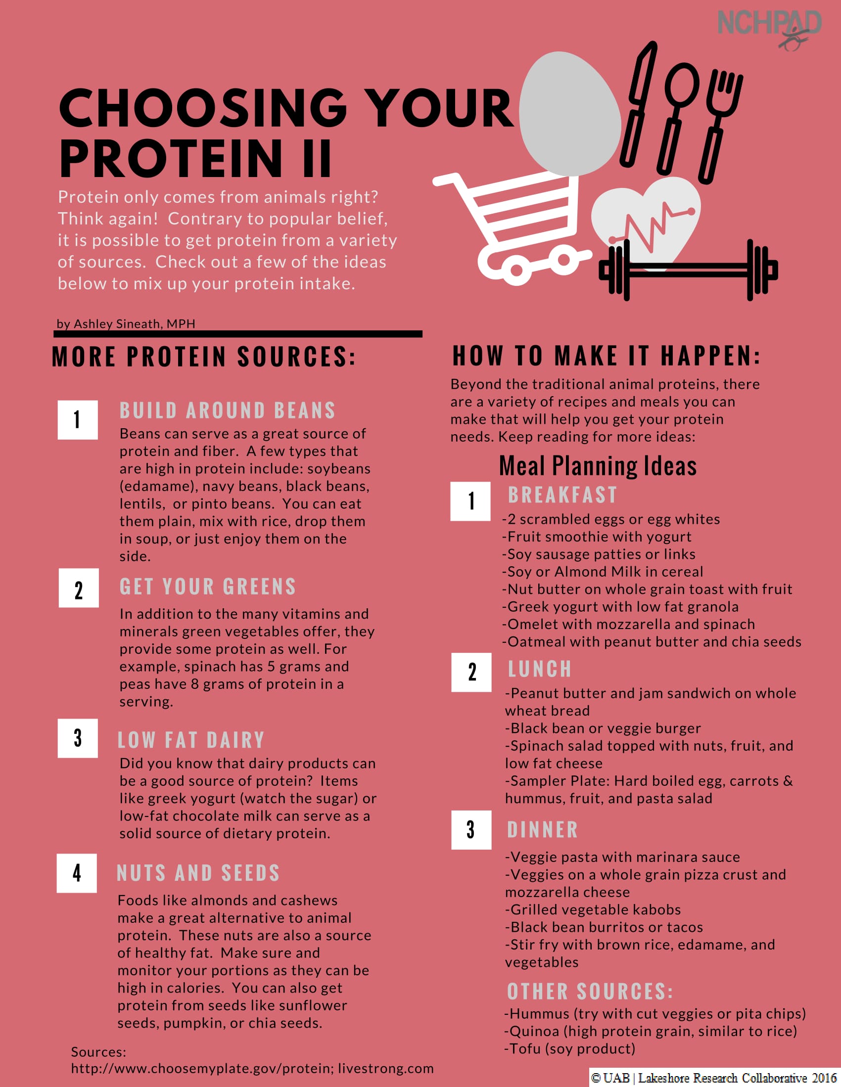 Choosing Your Protein : NCHPAD - Building Healthy Inclusive Communities