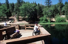 Image of a man using a wheelchair fishing at a lake with large green trees in the background.