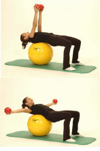 A demonstration of the Table Top Flies using the exercise ball and dumb bells.