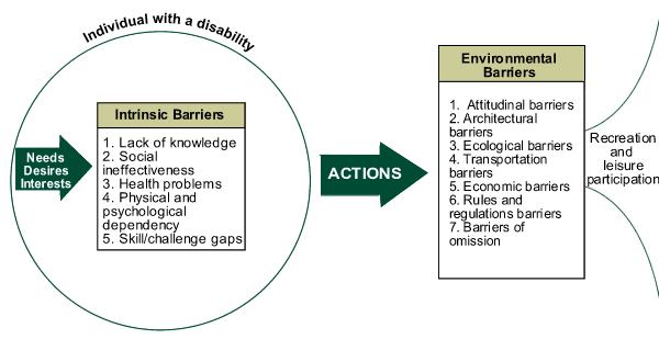 Intrinsic and Environmental Barriers Diagram