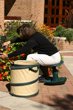 Woman sitting on portable stool to prune red flowers in a raised garden bed