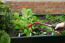 Arm shown using a tool to tend to plants