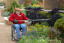 Wheelchair user pruning bushes with long tool
