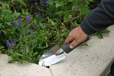 Simple garden shovel used in raised bed
