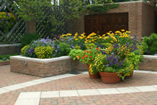 Raised garden bed and large potted plants with flowers