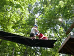Two people in a high challenge course surrounded by trees.
