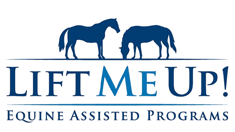 Enhanced LMU logo 768x432