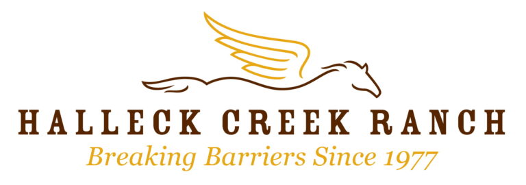 HCR logo MOD2   Breaking Barriers Since 1977 white 768x270